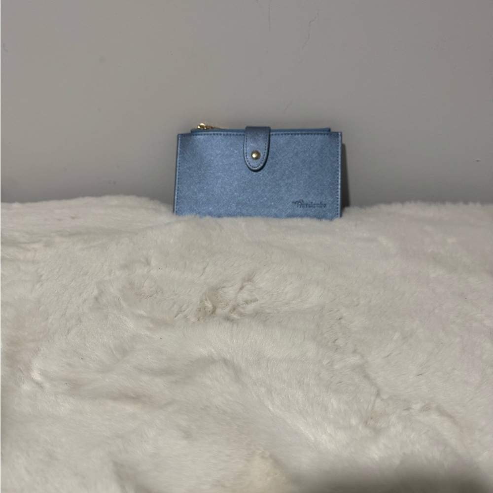Elegant Blue Women's Clutch